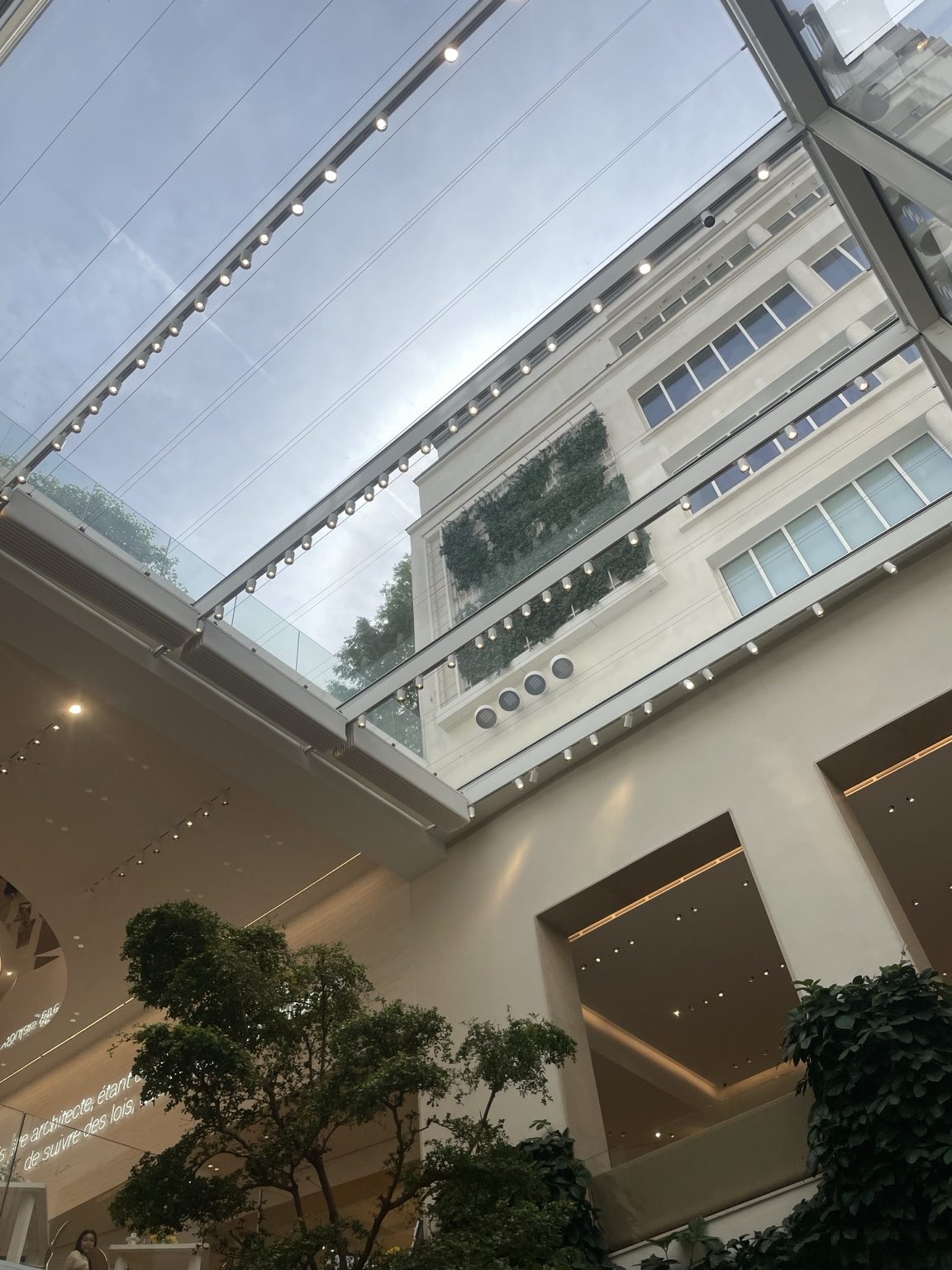 ガラス屋根